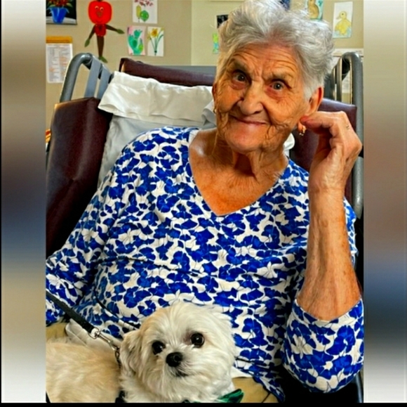 🐉 CHINESE DRAGONS FAMILLE LOTUS Vintage  6 1/4” STAMPED Made 06 China  1 of 2 - Picture 13 of 16